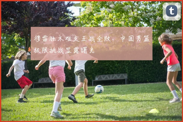 开云kaiyun网页版官方入口-开云中国