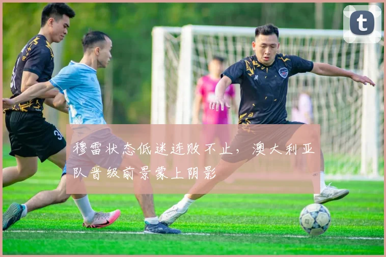 开云kaiyun网页版官方入口-开云中国