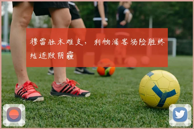 开云kaiyun网页版官方入口-开云中国